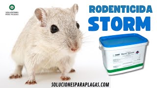 Rodenticida Raticida Veneno para ratas STORM soluciones para plagas 2023 [upl. by Ahsahs885]