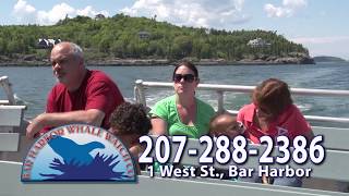 Bar Harbor Nature Cruise [upl. by Maya]