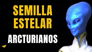 🔯 SEMILLA ESTELAR  LOS ARCTURIANOS  Audiolibro 🙏 ESPIRITUAL Completo Español Voz Real GRATIS [upl. by Anier]