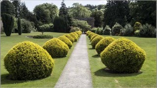 National Trust Berrington Hall [upl. by Jephum]