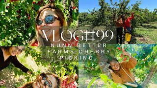 VLOG99 Nunn Better Farms Cherry Picking🍒  AlisahVlogs [upl. by Meurer]