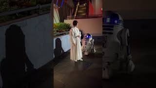 Princess Leia Seen In Disneyland [upl. by Pruter873]