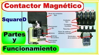 Contactor magnético trifásico como funciona Contorl Eléctrico Industrial Básico  Vídeo 3 de 7 [upl. by Ewens]