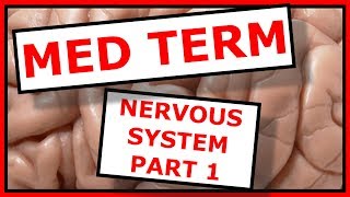 Medical Terminology Crash Course Nervous System Part 1 [upl. by Loos640]