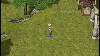 Tarou Card Hunting on Swordman  Yanis Chronicles Ragnarok Online [upl. by Valerian]