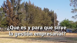 ¿Qué es y para que sirve la gestión empresarial [upl. by Dionysus971]