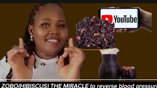 ZOBO HIBISCUS THE MIRACLE YOU NEED TO REVERSE HIGH BLOOD PRESSURE [upl. by Akirahs]