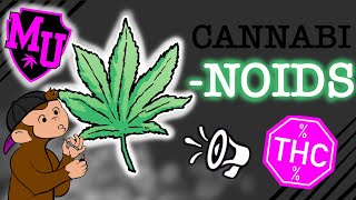 Cannabinoids  MOOU  Part 1 [upl. by Ng]