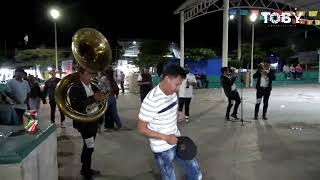 Serenata 05 de noviembre Feria Copala 2024 [upl. by Gasperoni]