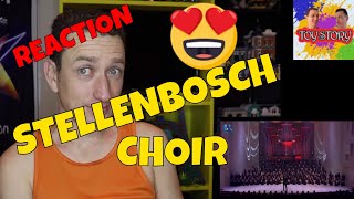 Stellenbosch University Choir  African Medley  Reaction [upl. by Bonne]