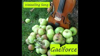 Wassailing by Gaelforce [upl. by Coke858]