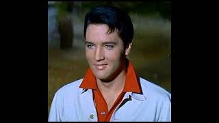 Elvis Presleys 1964 Film Kissin Cousins shorts shortvideo shortsvideo short elvispresley [upl. by Aeresed]