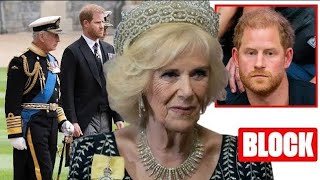 NO MEETING Queen Camilla CRUSHES Harrys Feeble Attempt At Family Bonding With King Charles [upl. by Fredie2]