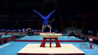 MACCHINI Carlo ITA  2022 Artistic Worlds Liverpool GBR  Qualifications Pommel Horse [upl. by Ayhay776]