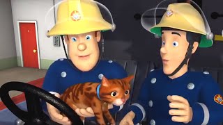 Brandweerman Sam 🌟 Kleine kat sluit zich aan bij de brandweerlieden 🔥 Nieuwe 🔥Kinderfilms [upl. by Ploss821]