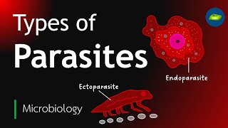 Types of Parasites  Classification of parasites  Microbiology  Basic science Series [upl. by Lambertson]