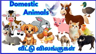 A to Z DOMESTIC ANIMALSLearn Domestic Animals Name For kidsPEEKABOO [upl. by Hcnarb24]