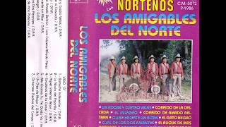 Los Amigables Del Norte  15 Exitos Norteños Album Completo [upl. by Nesyaj]