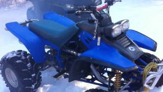 Yamaha Warrior YFM 350 Winter Cold Start 10 [upl. by Barina614]