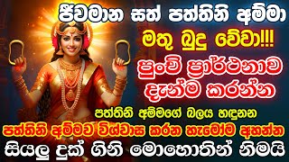 මෙය ශ්‍රවණය කරන ඔබට උතුම් සත් පත්තිනි අම්මා පිහිටයි  Dewa Katha Pattini Songs Paththini Maniyo Song [upl. by Adniled]