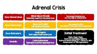 Adrenal Crisis [upl. by Garnette]