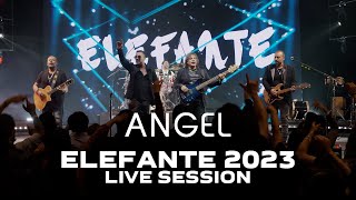 Angel ELEFANTE 2023 Live Session [upl. by Hgielra]