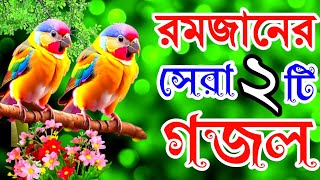 রমজানের সেরা সকলের গুনাহ মাফের কলিজা শীতল করা গজল  Ramadan Gojol  Ramadhan Gazal  রোজার সেরা গজল [upl. by Scales]