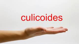 How to Pronounce culicoides  American English [upl. by Lledyr625]