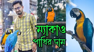 ম্যাকাও পাখির দাম। Macaw bird price। ম্যাকাও পাখি পালন। Macaw pakhir dam। ম্যাকাও পাখি RoufAgro [upl. by Schulz]