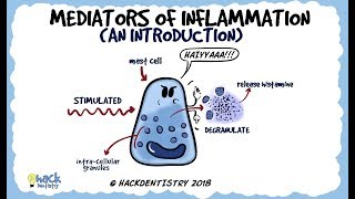 Mediators of Inflammation An Introduction [upl. by Myrah]