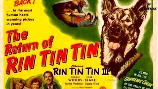 The Return of Rin Tin Tin 1947  Adventure Film  Rin Tin Tin III  Donald Woods  Robert Blake [upl. by Aienahs]