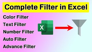 Complete Filter in Microsoft Excel For Beginners [upl. by Jaquelyn]