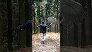 Walk into Woods  Dowhill Forest  Kurseong ytshortsindia vijaysethupathi trendingshorts [upl. by Ledoux]