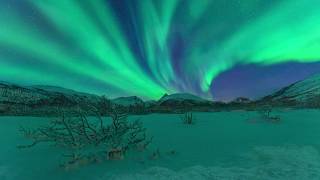 Northern Lights aurora borealis from space International Space Station NASA images timelapse [upl. by Beverley621]