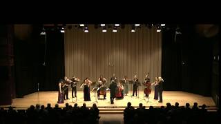 Peteris Vasks violin Concerto Distant Light Andréa Tyniec violin Sinfonia Toronto [upl. by Power]