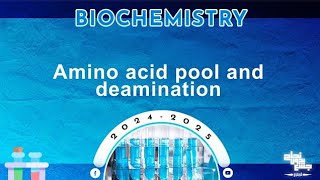 Rev of L27 Protein metabolism amino acid pool Oxidative deamination of amino acids Biochemistry [upl. by Sanderson]