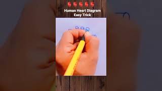 Human heart diagram funny nursingschoolstudents memes nursingschoolhearttouching anmgnm [upl. by Carlstrom748]