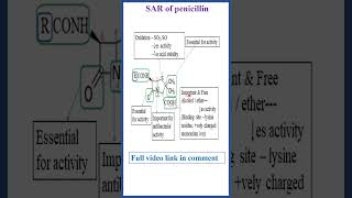 SAR of Penicillin  Antibiotics  Penicillin  Shorts  premaanandan [upl. by Anes]