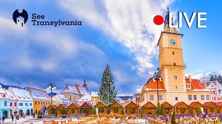 Town Square  Piata Sfatului Brasov🔴 Pizza Roma Live Webcam [upl. by Whitman]