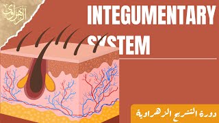 General Anatomy Integumentary System [upl. by Leboff]