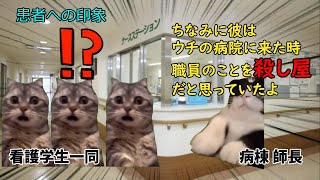 精神科病棟の実習で精神病の恐ろしさを知った話。【猫ミーム】【猫マニ】 [upl. by Nezam]