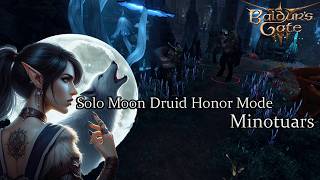 Solo Moon Druid Minotuars  Honor Run [upl. by Ennovyhc]