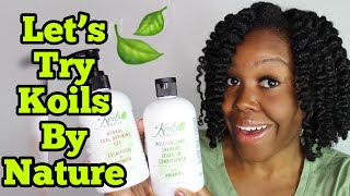 Surprise I Tried Koils By Nature Natural Hair Care Products [upl. by Catlin409]