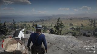 VAN HORN 2 BLACKWATER  HORSEMAN 9  Red Dead Redemption 2  WHITE ARABIAN [upl. by Cosenza912]