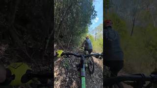 Loam steeps mountainbiking [upl. by Abigail]