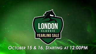 2024 London Classic Yearling Sale  Day 1 [upl. by Ban173]