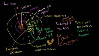 Parts of a cell [upl. by Etteyafal418]