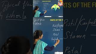 Whorl of Flowers  Morphology of Flowering Plants  Shorts  Botany  Sri Chaitanya [upl. by Winters]