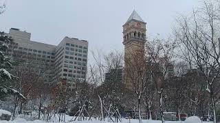 Sejong University Winter Seoul South Korea [upl. by Ahtilat]