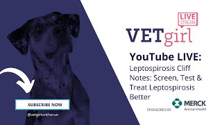 VETgirl YouTube LIVE Webinar Leptospirosis Cliff Notes Screen Test amp Treat Leptospirosis Better [upl. by Drue]